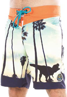 SACRAMENTO BOARD SHORTS S16